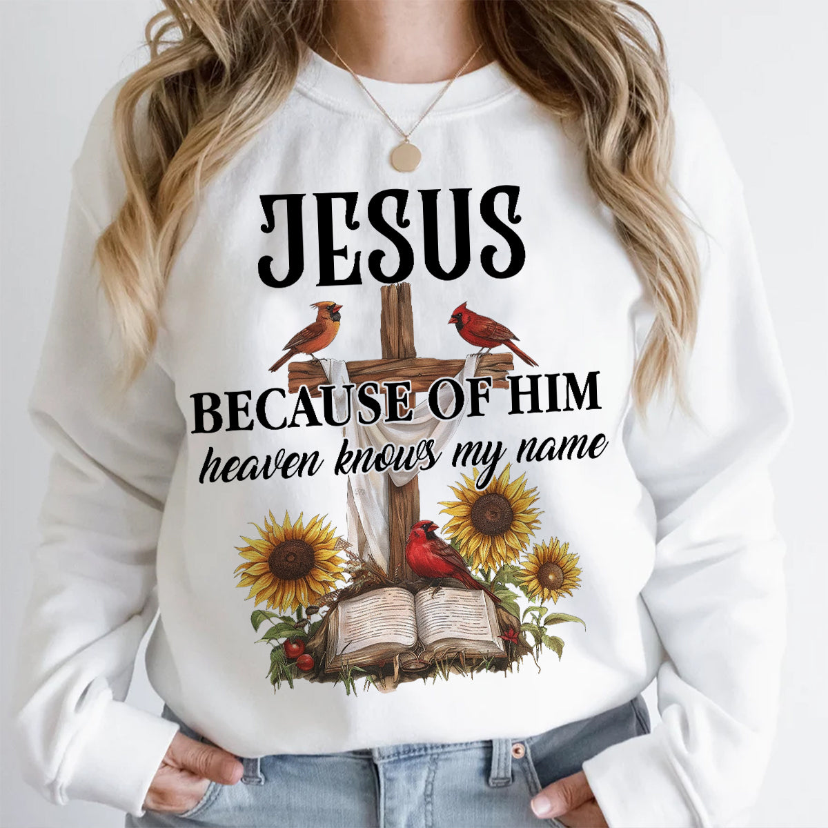 Teesdily | Jesus Christ Cardinal Shirt, Because Of Him Heavens Knows My Name Shirt, Christian Gift, God Believers Unisex Tshirt Hoodie Sweatshirt Mug