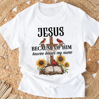 Teesdily | Jesus Christ Cardinal Shirt, Because Of Him Heavens Knows My Name Shirt, Christian Gift, God Believers Unisex Tshirt Hoodie Sweatshirt Mug