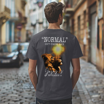 Teesdily | Jesus Lion Of Judah Shirt, Normal Isn't Coming Back Jesus Is Revelation 14 Jesus Sweatshirt Hoodie Mug, God Believer Back Side Shirt