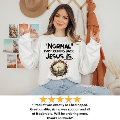 Teesdily | Jesus Cross And Crown Tshirt, Normal Isn't Coming Back Jesus Is Revelation Hoodie Sweatshirt Mug, Christian Religious Clothing Gifts