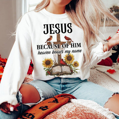 Teesdily | Jesus Christ Cardinal Shirt, Because Of Him Heavens Knows My Name Shirt, Christian Gift, God Believers Unisex Tshirt Hoodie Sweatshirt Mug