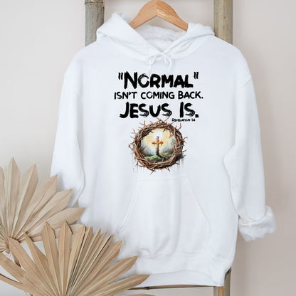 Teesdily | Jesus Cross And Crown Tshirt, Normal Isn't Coming Back Jesus Is Revelation Hoodie Sweatshirt Mug, Christian Religious Clothing Gifts