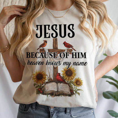 Teesdily | Jesus Christ Cardinal Shirt, Because Of Him Heavens Knows My Name Shirt, Christian Gift, God Believers Unisex Tshirt Hoodie Sweatshirt Mug