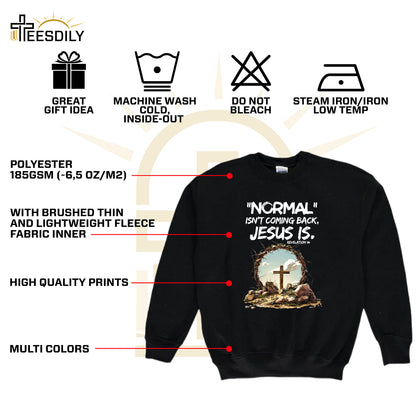 Teesdily | Jesus Cross And Crown Tee, Bible Verse Jesus Shirt, Normal Isnt Coming Back Jesus Is Sweatshirt Hoodie Mug, He Has Risen Christian Gifts