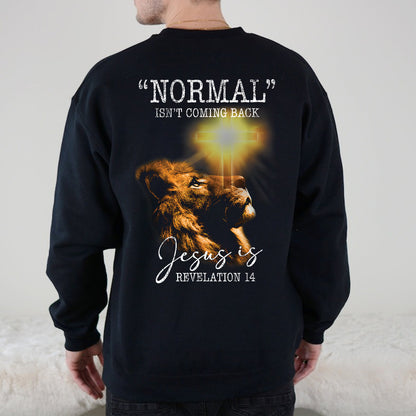 Teesdily | Jesus Lion Of Judah Shirt, Normal Isn't Coming Back Jesus Is Revelation 14 Jesus Sweatshirt Hoodie Mug, God Believer Back Side Shirt