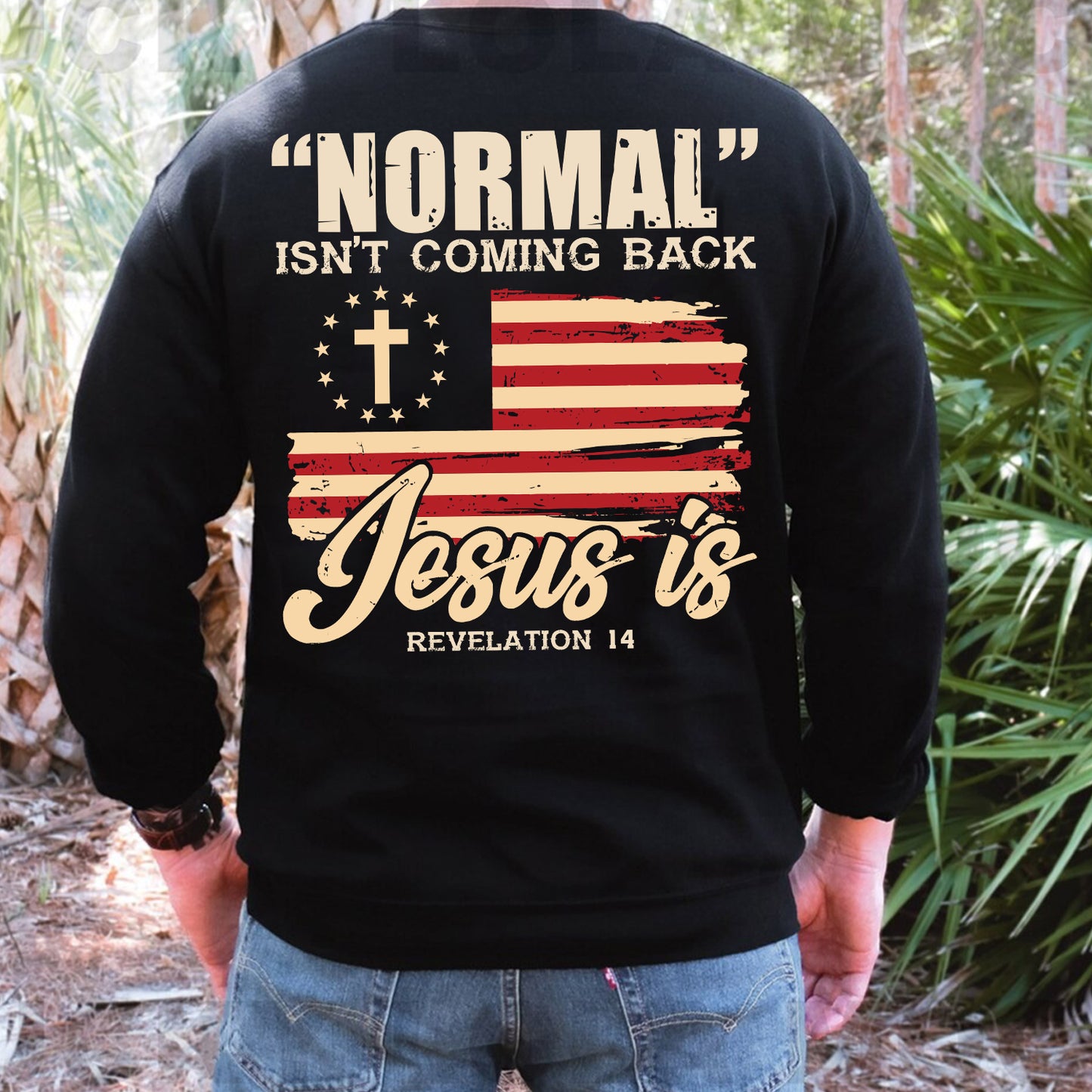 Teesdily | American Flag Patriotism Shirt, Normal Isn't Coming Back Jesus Is Back Design Sweatshirt Hoodie Mug, Independence Day Gifts