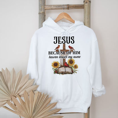 Teesdily | Jesus Christ Cardinal Shirt, Because Of Him Heavens Knows My Name Shirt, Christian Gift, God Believers Unisex Tshirt Hoodie Sweatshirt Mug