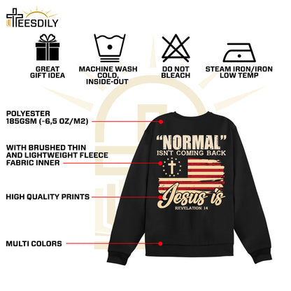 Teesdily | American Flag Patriotism Shirt, Normal Isn't Coming Back Jesus Is Back Design Sweatshirt Hoodie Mug, Independence Day Gifts