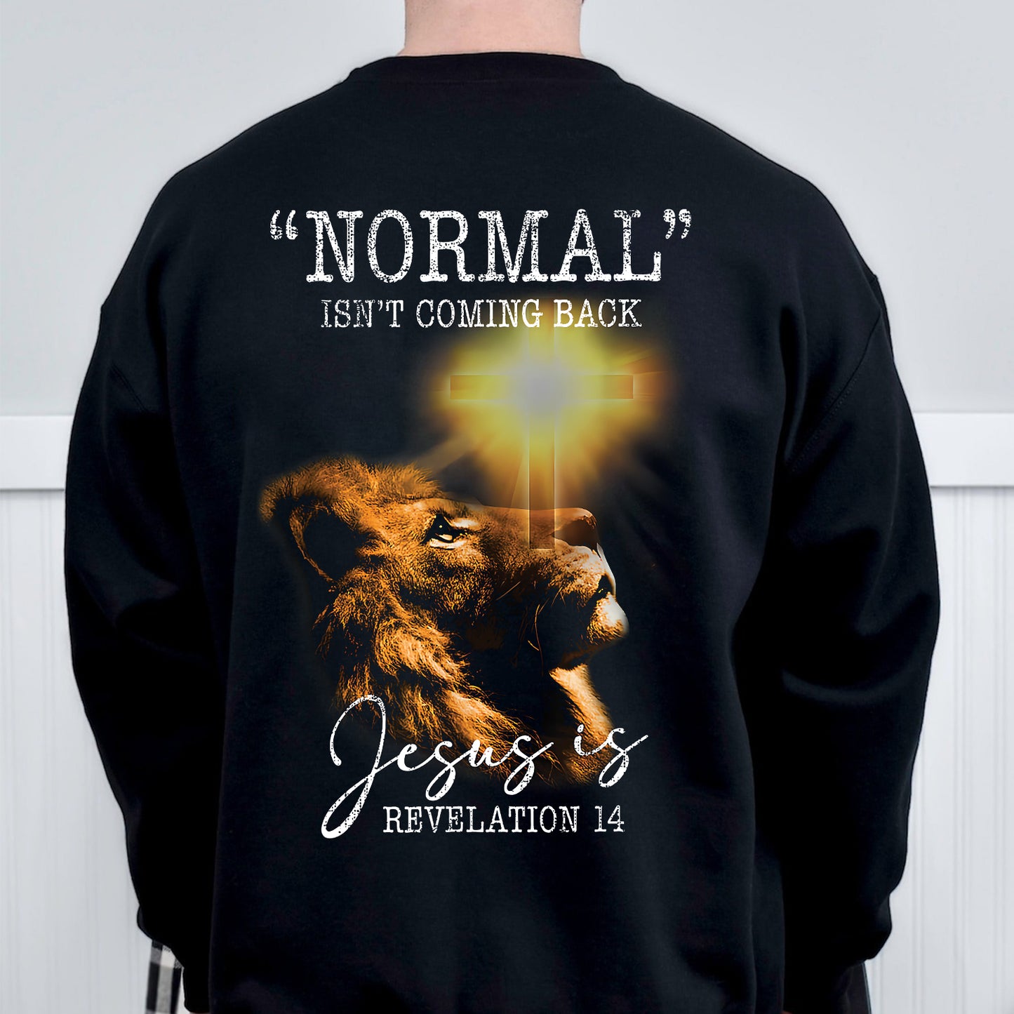 Teesdily | Jesus Lion Of Judah Shirt, Normal Isn't Coming Back Jesus Is Revelation 14 Jesus Sweatshirt Hoodie Mug, God Believer Back Side Shirt